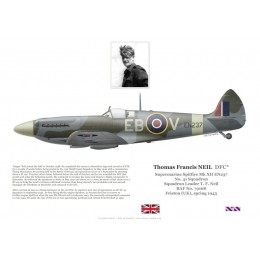 Thomas Neil DFC, Spitfire Mk XII EN237, No 41 Squadron RAF, 1943