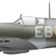 Thomas Neil DFC, Spitfire Mk XII EN237, No 41 Squadron RAF, 1943