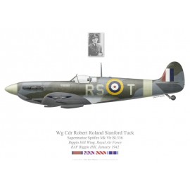Spitfire Mk Vb, W/C Robert Roland Stanford Tuck, Biggin Hill Wing, janvier 1942
