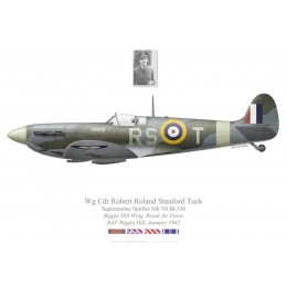 Spitfire Mk Vb, W/C Roland Robert Stanford Tuck, Biggin Hill Wing, January 1942