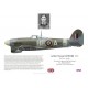 Arthur Gowers DFC, Typhoon Mk Ib DN249, OC No 183 Squadron RAF, 1943