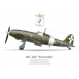 MC.202 Folgore Series XII, 74a Squadriglia, 23° Gruppo de Caccia, Cerveteri, été 1943