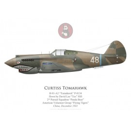 H-81 Tomahawk, "Tex" Hill, 2nd PS, American Volunteer Group “Flying Tigers”, December 1941