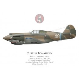 H-81 Tomahawk, "Tex" Hill, 2nd PS, American Volunteer Group “Flying Tigers”, December 1941