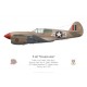 P-40F Warhawk "Miss Fury", Capt. Roy Whittaker, 65th FS, 57th FG, Tunisia, 1943