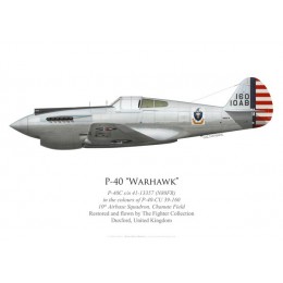 P-40C Warhawk N80FR, The Fighter Collection, Duxford, United Kingdom