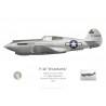 P-40-CU Warhawk, 51st FS, Seymour Island Army Airfield, 1943