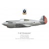 P-40-CU Warhawk, 10th Airbase Squadron, Chanute Field, Army Air Corps Technical Training Command