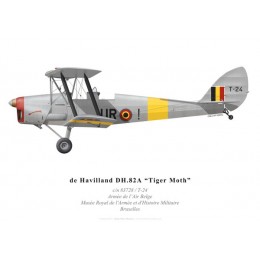 Tiger Moth, Armée de l'Air Belge
