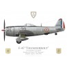 F-47D Thunderbolt, EC 2/20 "Ouarsénis", French Air Force, Algeria, 1956-1960