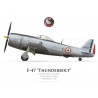 F-47D Thunderbolt, 10e Escadre de Chasse, French Air Force, Villacoublay, 1952