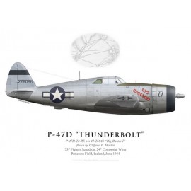 P-47D Thunderbolt "Big Bastard", Clifford Martin, 33rd FS, 24th CW, Iceland, 1944