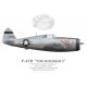 P-47D Thunderbolt "Big Bastard", Clifford Martin, 33rd FS, 24th CW, Iceland, 1944