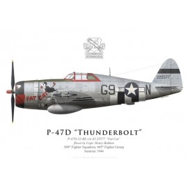 P-47D Thunderbolt "Fat Cat", Capt. Henry Bakken, 509th FS, 405th FG, 1944