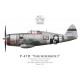 P-47D Thunderbolt "Fat Cat", Capt. Henry Bakken, 509th FS, 405th FG, 1944