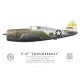 P-47D Thunderbolt "Daring Dottie III", Capt. John T. Moore, CO 341st FS, 348th FG, Nouvelle-Guinée, 1944