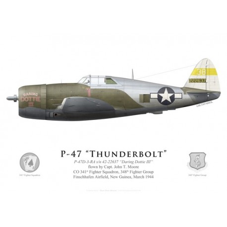P-47D Thunderbolt "Daring Dottie III", Capt. John T. Moore, CO 341st FS, 348th FG, New Guinea, 1944