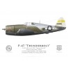 P-47D Thunderbolt "Daring Dottie III", Capt. John T. Moore, CO 341st FS, 348th FG, Nouvelle-Guinée, 1944