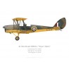 Tiger Moth R-5136 / G-APAP