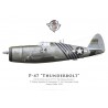 P-47D Thunderbolt "The Flying Abortion", 5th FS (Commando), 1st ACG, India, 1944