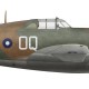 Thunderbolt Mk I, F/S John Cross, No 5 Squadron, India, 1945