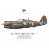 Thunderbolt Mk I, F/O Edgar N. Wilson (RNZAF), No 146 Squadron, Inde, 1944