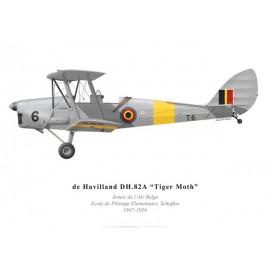 Tiger Moth, Armée de l'Air Belge