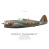 Thunderbolt Mk I, P/O Peter Stead, No 258 Squadron, Royal Air Force, India, Autumn 1944