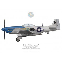 P-51D Mustang "Petie 2nd", John C. Meyer, 487th FS, 352nd FG