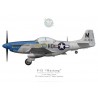 P-51D Mustang "Petie 2nd", John C. Meyer, 487th FS, 352nd FG