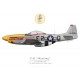 P-51D Mustang "Detroit Miss", 2Lt. Urban Drew, 375th FS, 361st FG, 1944
