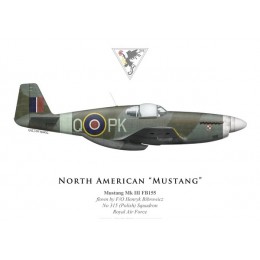 Mustang Mk III, F/O H. Bibrowicz, No 315 (Polish) Squadron, Royal Air Force