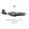 Mustang Mk III, F/O H. Bibrowicz, No 315 (Polish) Squadron, Royal Air Force