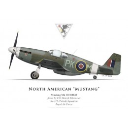 Mustang Mk III, F/O H. Bibrowicz, No 315 (Polish) Squadron, Royal Air Force