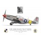 P-51D Mustang "Little Eva III", Capt. James "Sully" Varnell, 52nd Fighter Group, 2nd Fighter Squadron, Italy, 1944