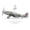 Mustang Mk IV, Sqdn Ldr Witold Lokuciewski, No 303 "Kosciuszko" (Polish) Squadron, Royal Air Force, 1946