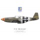 P-51B Mustang "Old Crow", Capt. Clarence "Bud" Anderson, 363rd Fighter Squadron, 357th Fighter Group