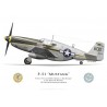 P-51C (F-6C) Mustang "Barbara's/Miss Revenge", Lt.Col. Edward O. McComas, 118th Tactical Reconnaissance Squadron
