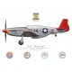 P-51C Mustang "Tuskegee Airmen / By Request", NL61429, Commemorative Air Force