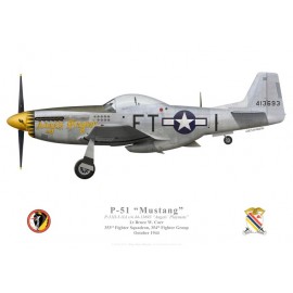P-51D Mustang "Angels' Playmate", Lt. Bruce Carr, 353rd Fighter Squadron, 354th Fighter Group