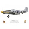 P-51D Mustang "Angels' Playmate", Lt. Bruce Carr, 353rd Fighter Squadron, 354th Fighter Group