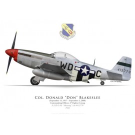 P-51D Mustang, Col. Don Blakeslee, 4th Fighter Group, 1944
