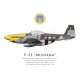 P-51D Mustang "Lou IV", Col. Thomas Christian Jr., CO 361st Fighter Group, RAF Bottisham, 1944