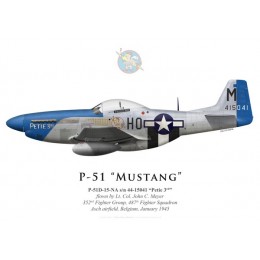 P-51D Mustang "Petie 3rd", Lt. Col. John C. Meyer, 487th Fighter Squadron, 352nd Fighter Group, Belgium, January 1945