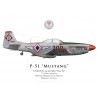 P-51D Mustang "Tayo Na", 7th Fighter Squadron, Philippine Air Force