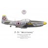 P-51D Mustang, 8th Fighter Squadron, Philippine Air Force