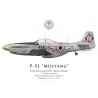 P-51D Mustang "Spirit of Mactan", 8th Fighter Squadron, Philippine Air Force, 1957