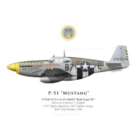 P-51B Mustang "Bald Eagle III", Lt Robert Eckfeld, 374th Fighter Squadron, 361st Fighter Group, 1944