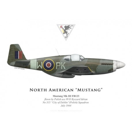 Mustang Mk III, W/O Ryszard Idrian, No 315 “City of Deblin” (Polish) Squadron, Royal Air Force, 1944
