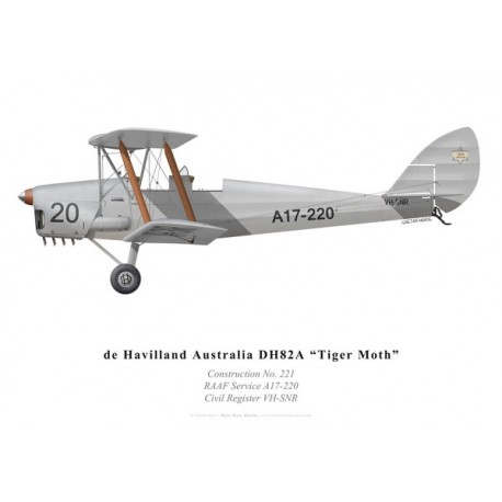 Tiger Moth VH-SNR